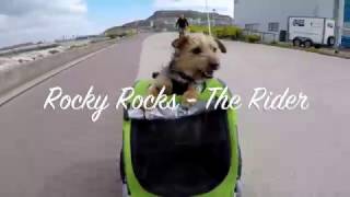 DoggyRide  Rocky Rocks The Rider [upl. by Leamiba]