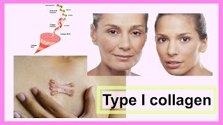 type I collagen [upl. by Ailsun489]