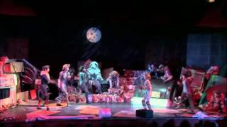 Cats  The Jellicle Ball [upl. by Nosle678]