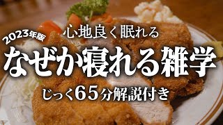 【睡眠導入】なぜか寝れる雑学【リラックス】いつもより深い睡眠を♪ [upl. by Trefler]