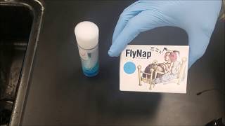 Lab Drosophila Fruit Fly PGeneration Removal [upl. by Pompei]