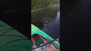 Some early morning fishing asmr for you fishing flyfishing nature outdoors [upl. by Dominic678]