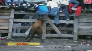 toros de mi pueblo vol 8 9 HD [upl. by Hyacinthie]