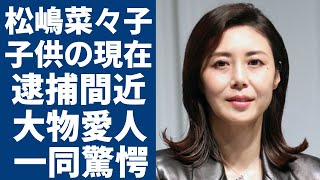 松嶋菜々子の子供の現在逮捕間近の真相や大物すぎる愛人の正体に一同驚愕！『GTO』で大ヒットした夫・反町隆史との離婚調停の全貌に言葉を失う [upl. by Euqenimod507]