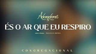 ADORADORES 5  ÉS O AR QUE EU RESPIRO LETRA [upl. by Alleunamme]