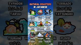 quotLearn Natural Disasters in Japanese – Words amp Pronunciation 🌪️🌊  Nihongo Ninjaquot [upl. by Ruiz]