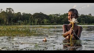 Ancient water tanks of Sri Lanka to adapt to a changing climate [upl. by Berton590]