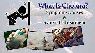 How Cholera Affects Your Body Symptoms Causes and Ayurvedic Treatment For Cholera [upl. by Keven]