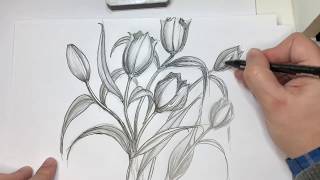 Come Disegnare dei Tulipani Tutorial [upl. by Riki]