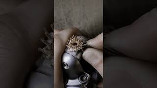 Eps16 jewelry jewellery gold diamondring handmade [upl. by Sadella]