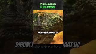 Kehidupan Komodo di Desa Terpencil ensiklopedia fakta komodo [upl. by Ulrica]