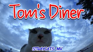 MV Toms Diner [upl. by Thalassa13]