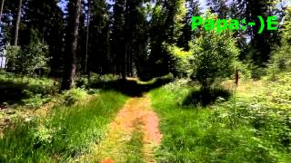 Nationalpark Schwarzwald  Wanderung Forbach bis Bad Herrenalb [upl. by Zildjian465]