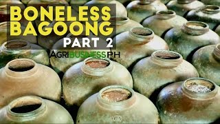 Boneless Bagoong Part 2  How to Make Boneless Bagoong and Alamang  Agribusiness Philippines [upl. by Aruol]