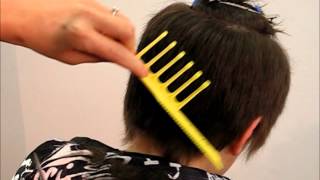 How to Cut Mens Kids Hair Short Medium Layer Undercut  Combpal Scissor Over Comb Guide Video 2 [upl. by Ewall]