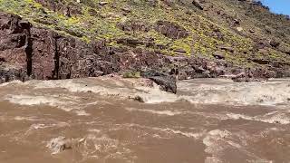 Bedrock Rapid Grand Canyon at 40000 cfs  April 2023 High Flow whitewater rafting  40k [upl. by Rochemont561]