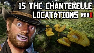 15 Rdr2 Chanterelle Location Spots  THC CHANTERELLES [upl. by Roslyn899]