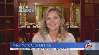 Vanessa Ray talks quotBlue Bloodsquot [upl. by Lauzon]