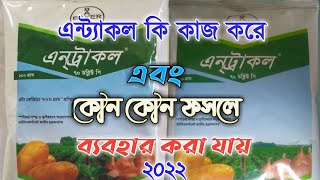 এন্ট্রাকল এর কাজ কি  antracoll 70 wp এন্ট্রাকল কোন কোন ফসলে ব্যবহার করা যাবে [upl. by Randee]