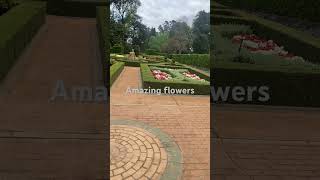 Amazing garden in Toowoomba [upl. by Vivyanne]