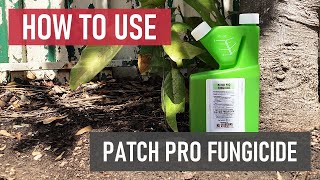 How to Use Patch Pro Fungicide [upl. by Nawram]