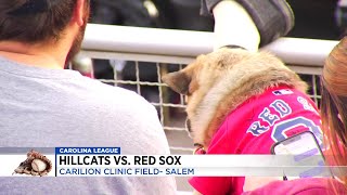 Lynchburg Hillcats at Salem Red Sox Opener [upl. by Gaven]