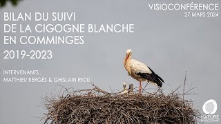 Visioconférence  Bilan du suivi de la Cigogne blanche en Comminges 20192023 [upl. by Kathlene]