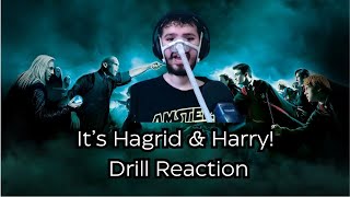 ITS HAGRID amp HARRY  NTFLX amp Drill Reaction [upl. by Nanaek]