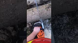 Sthil 500i rips chainsaw sthilms500i firewood treework [upl. by Chesna269]