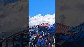 Kedarnath Yatra 🏔🗻 uttarakhand harharmahadev [upl. by Sil319]