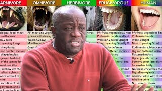 SCAVENGERS or HERBIVORES Human Diet Explained  Dr Milton Mills [upl. by Yetsirhc393]