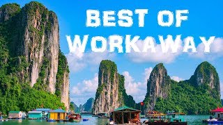 10 Best Workaway Experiences  Best Hosts on Workaway [upl. by Shelden]