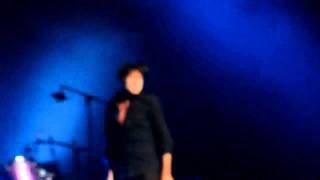 Suede  Animal Nitrate  Live At Cirque Royal Brussels 29112010 [upl. by Mozes842]