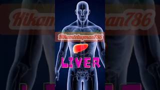 Liver health solutions tipssubscribe food healthybenefitshealthytips hikmateluqman78667 [upl. by Devaj471]