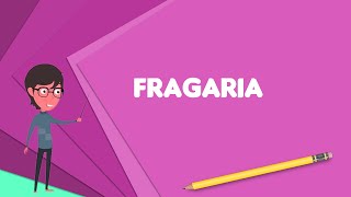 What is Fragaria Explain Fragaria Define Fragaria Meaning of Fragaria [upl. by Appledorf73]