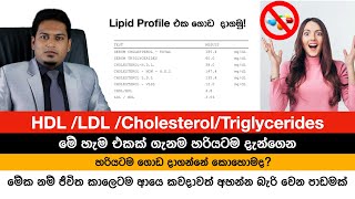 Cholesterol HDL LDL ගැන ඇත්ත දැනගෙන හිටියද Fat Metabolism By Nutritionist Hiroshan Jayaranga [upl. by Anileme702]