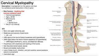 Cervical Myelopathy  Presentation Risk Factors amp SignsSymptoms [upl. by Akinaj]