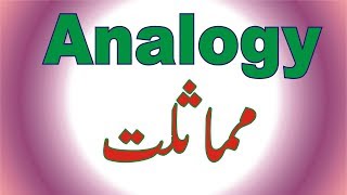 Analogy Literary Terms in Urdu [upl. by Hsital]