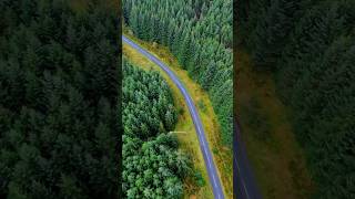 Exploring the Breathtaking Roads Cairngorms National Park  nature naturelovers scotland travel [upl. by Ecnadnac]