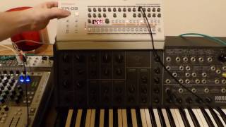 Roland TR09 amp Korg MS20 [upl. by Corby591]