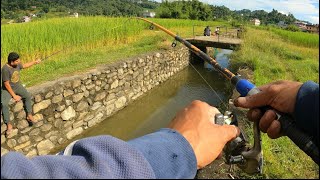 Khaste KholaFishing In BrookCatching Fishes In Water Stream [upl. by Garv]