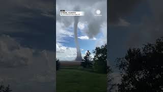 Tornado Swirls Over Field in Alberta Canada [upl. by Onitnevuj]