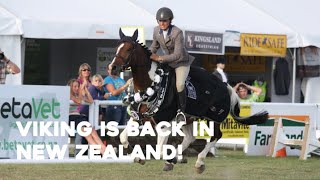 A Six Year Reunion Welcoming Showtym Viking Home to New Zealand [upl. by Cohin]