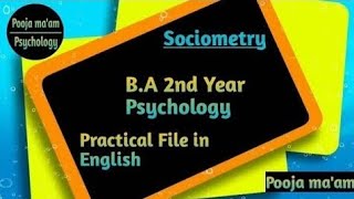 Sociometry  BA 2nd year Psychology  Practical file [upl. by Thill698]