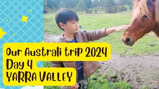 Beans World Trip to Australia Day 4 Yarra Valley [upl. by Anallij]