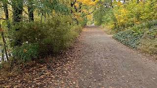 Beautiful Berlin volkspark Rehberge [upl. by Lamarre]