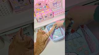 Cinnamoroll Labubu sanrio cinnamoroll labubu kuromi hellokitty cute japan shorts asmr fyp [upl. by Wolgast]