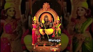 muruganthunai viralshorts love tamilsong 🕉️🙏🏻🙏🏻🙏🏻 [upl. by Peih961]