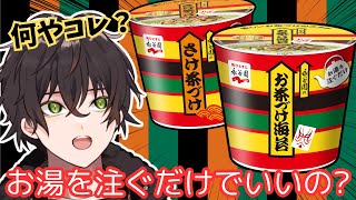 【食レポ】永谷園の新商品はインスタントお茶漬け【個人勢男性Vtuber】 [upl. by Nnyledam963]