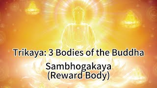 Trikaya  3 Bodies of the Buddha 2  Sambhogakaya Reward Body [upl. by Adlee]